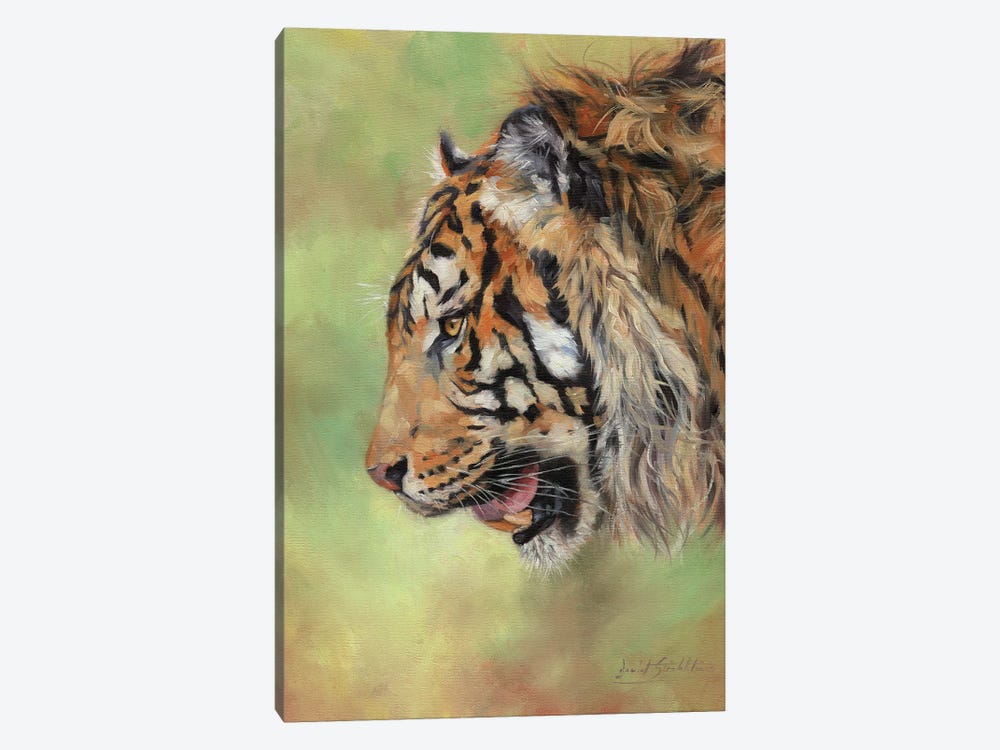 Amur Tiger Profile II by David Stribbling 1-piece Canvas Art Print