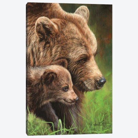 Brown Bear and Cub Canvas Print #STG186} by David Stribbling Canvas Print