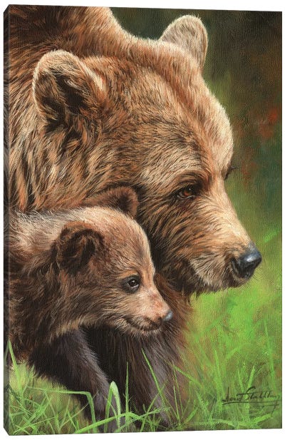Brown Bear and Cub Canvas Art Print - David Stribbling