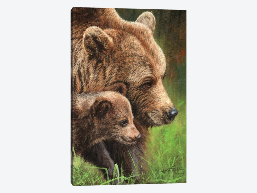 Brown Bear and Cub by David Stribbling 1-piece Canvas Artwork