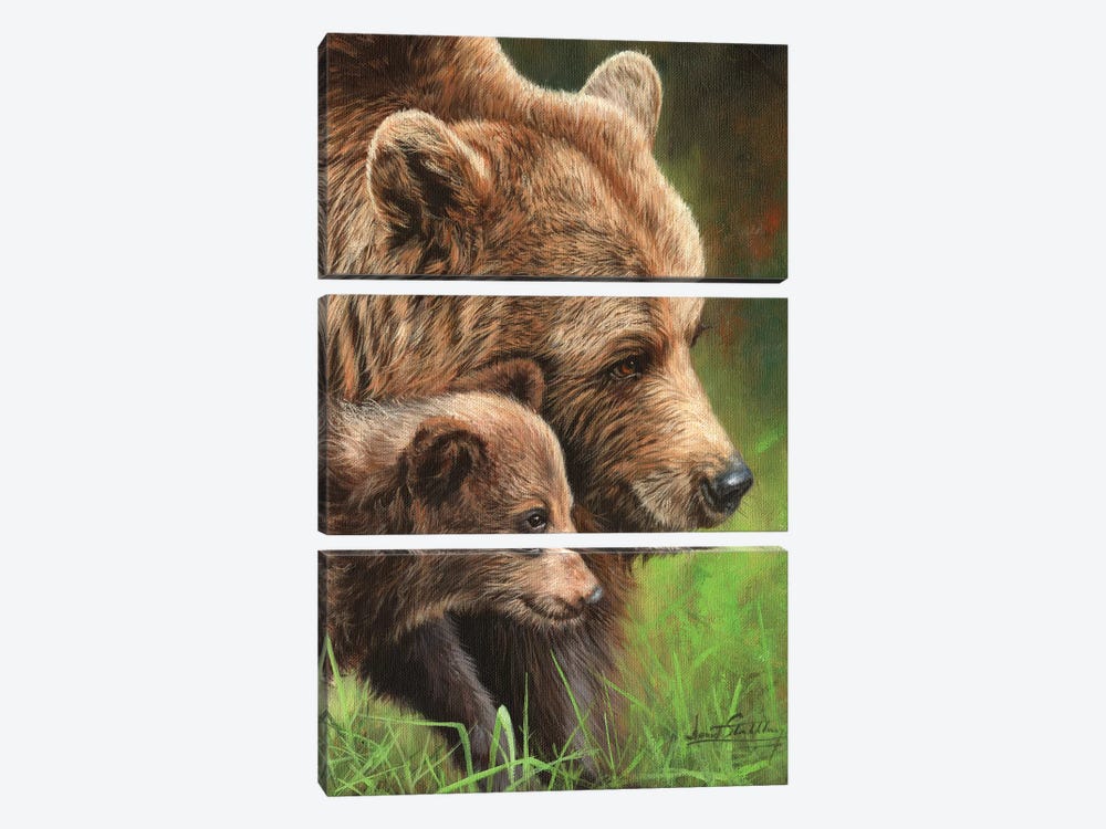 Brown Bear and Cub by David Stribbling 3-piece Canvas Art