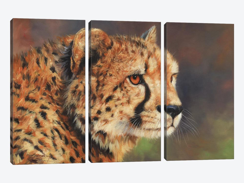 Cheetah Portrait II by David Stribbling 3-piece Canvas Art