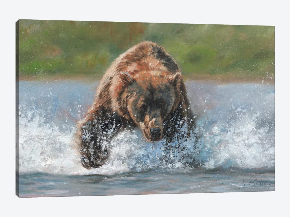 Brown Bear Grizzly Charge by David Stribbling 1-piece Canvas Artwork