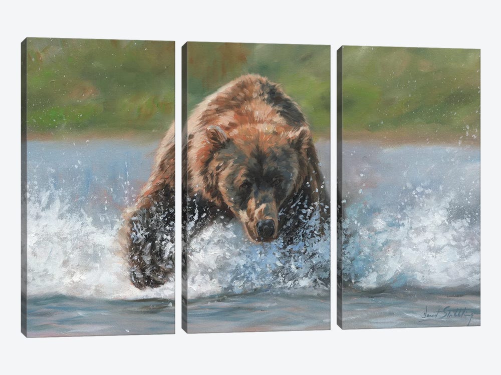 Brown Bear Grizzly Charge by David Stribbling 3-piece Canvas Wall Art