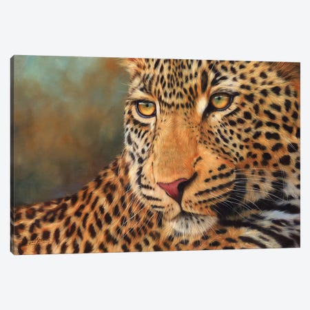 Black Leopard Canvas Artwork by Rachel Stribbling
