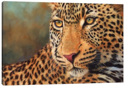 Leopard Portrait II Canvas Art Print - David Stribbling