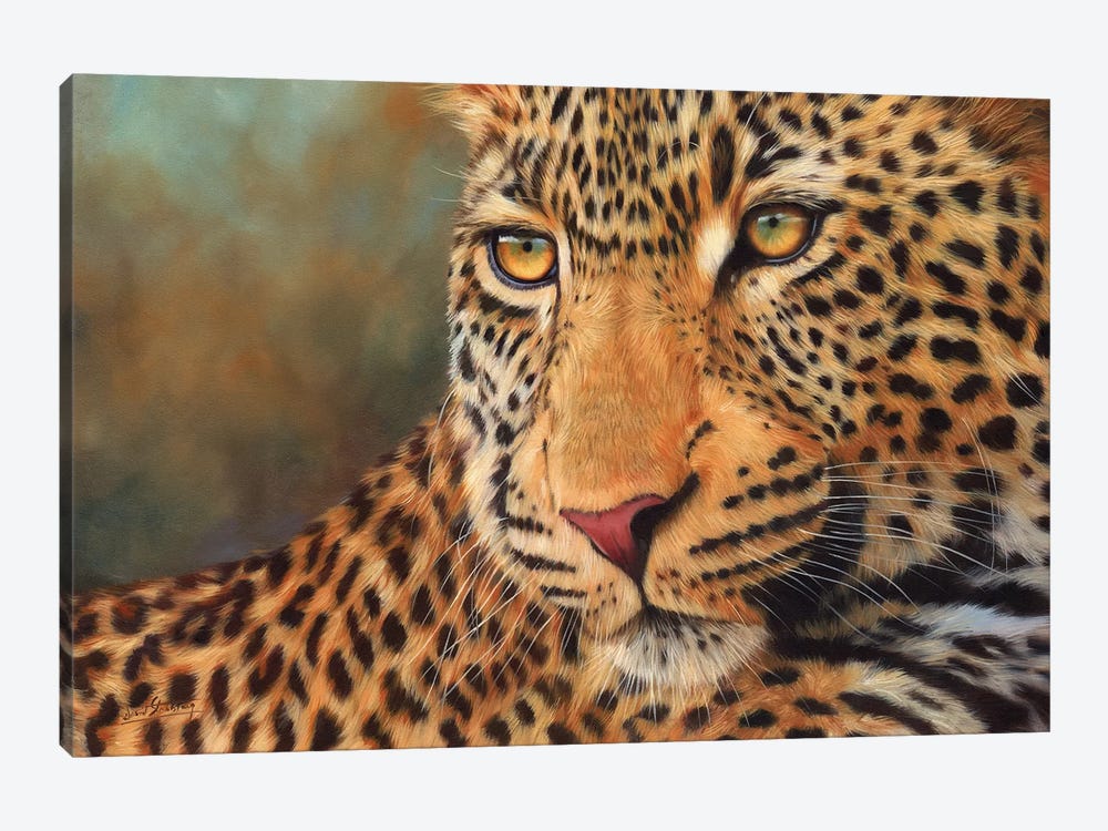 Leopard Portrait II by David Stribbling 1-piece Canvas Artwork