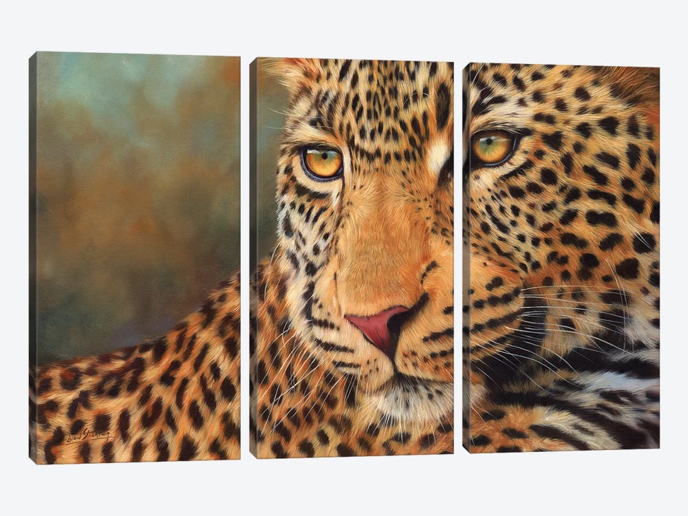 Leopard Portrait II by David Stribbling 3-piece Canvas Artwork