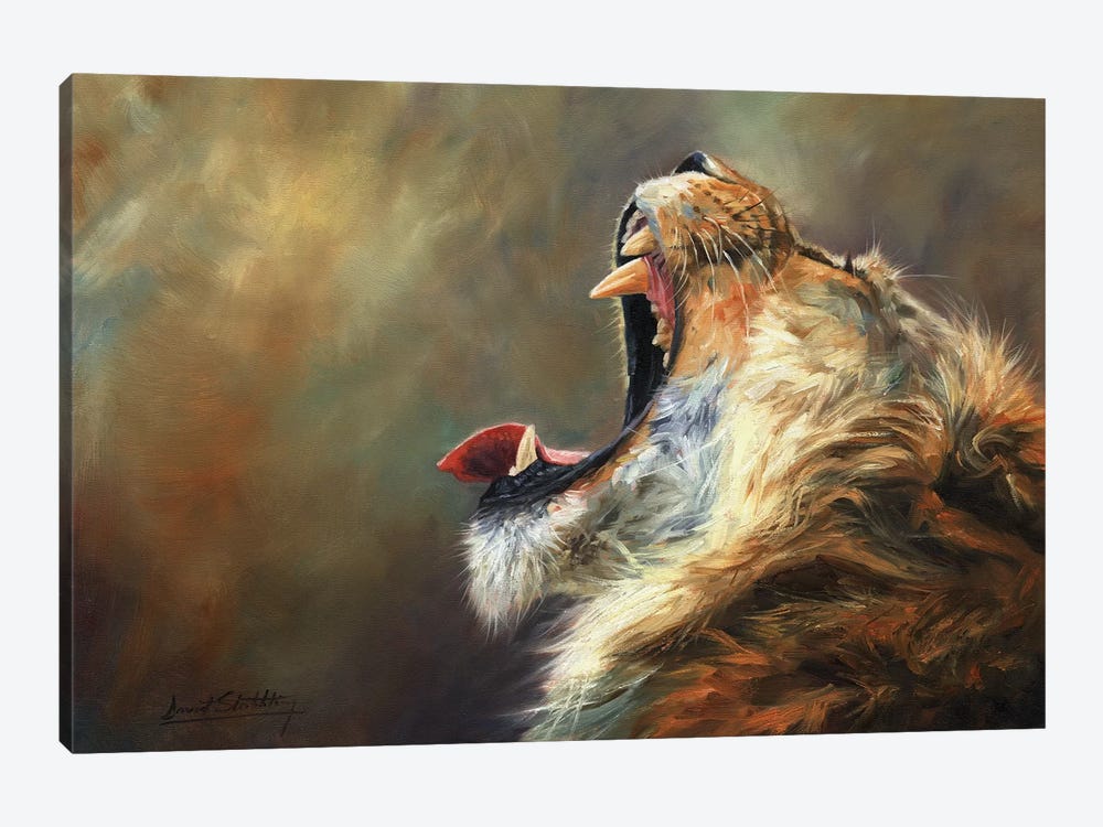 Lion Roar by David Stribbling 1-piece Canvas Art Print