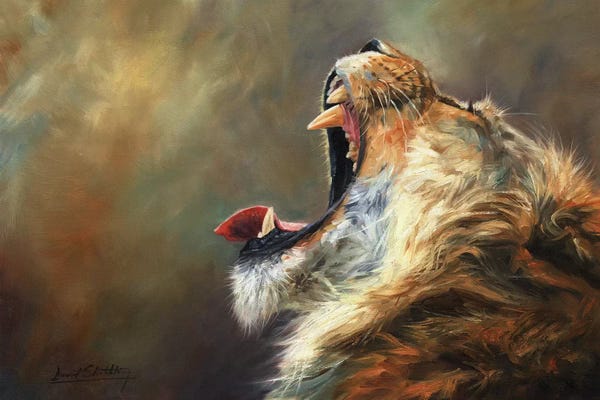 Lions: Lion Roar by David Stribbling