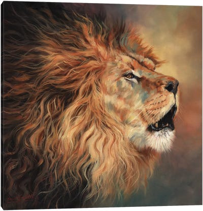 Lion Roar Profile Canvas Art Print - David Stribbling