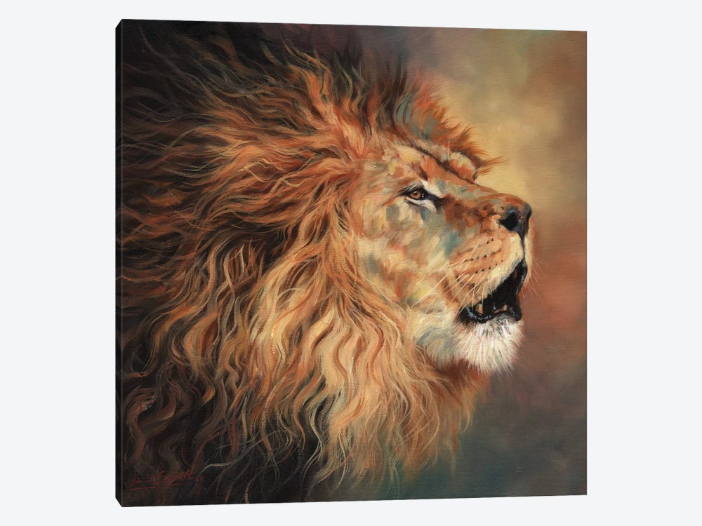Lion Roar Profile by David Stribbling 1-piece Canvas Artwork