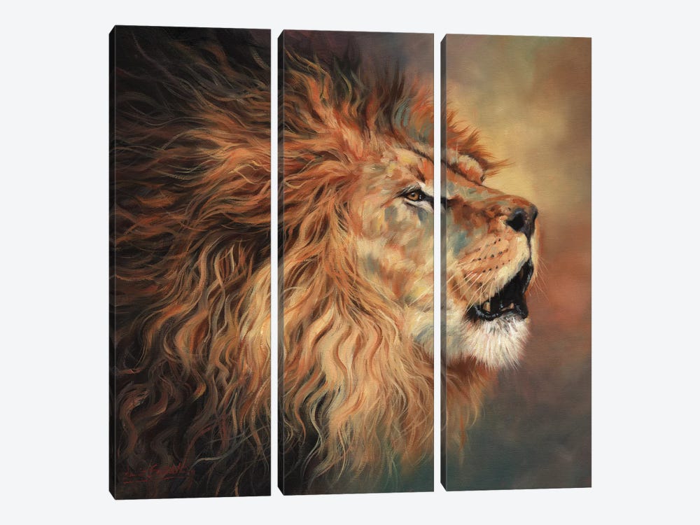 Lion Roar Profile by David Stribbling 3-piece Canvas Art