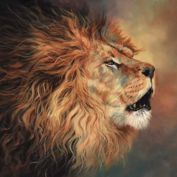 Lions: Lion Roar Profile by David Stribbling