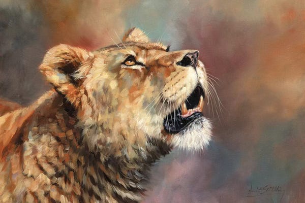 David Stribbling: Lioness Porait III by David Stribbling