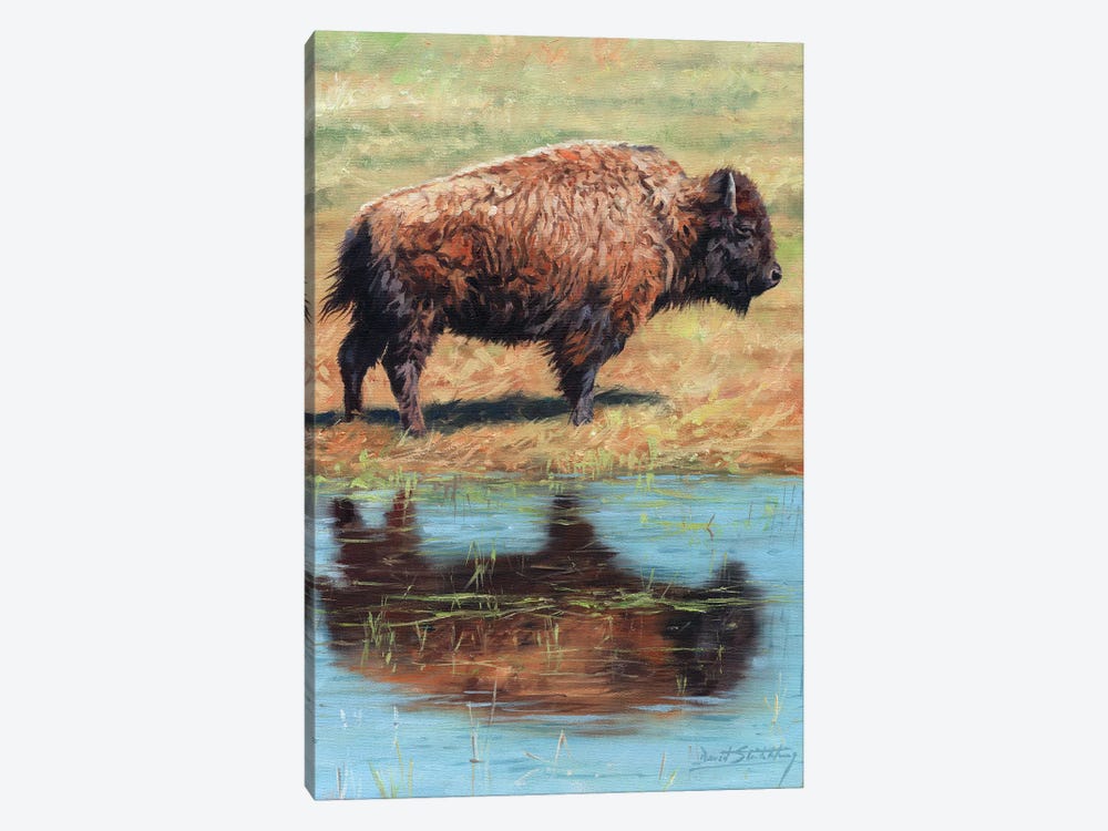 North American Bison by David Stribbling 1-piece Canvas Wall Art