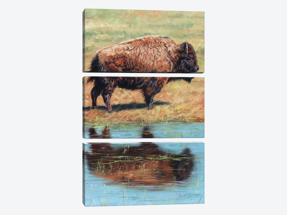 North American Bison by David Stribbling 3-piece Canvas Wall Art