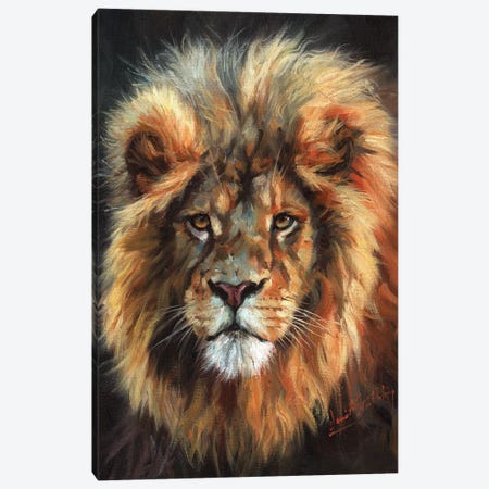 Portrait of a Lion Canvas Print #STG196} by David Stribbling Canvas Artwork
