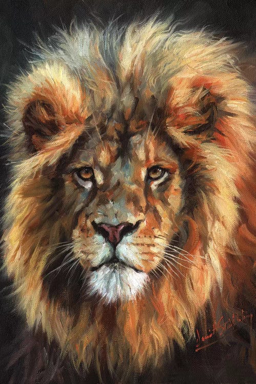 Portrait of a Lion