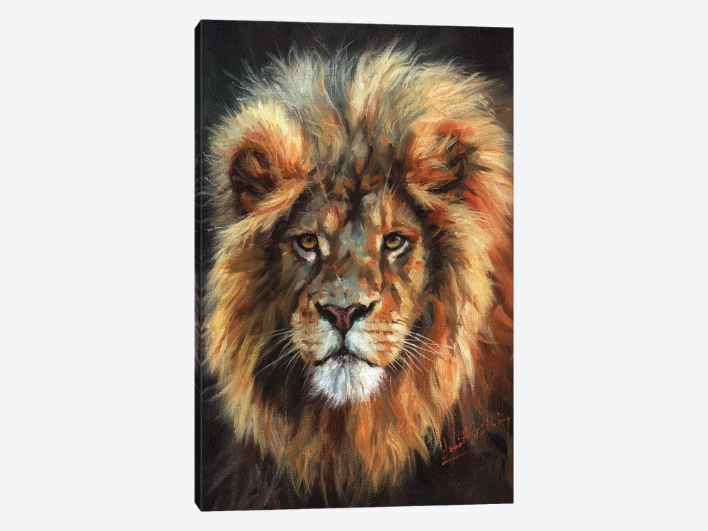 Portrait of a Lion by David Stribbling 1-piece Canvas Print