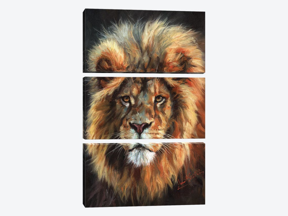 Portrait of a Lion by David Stribbling 3-piece Canvas Art Print
