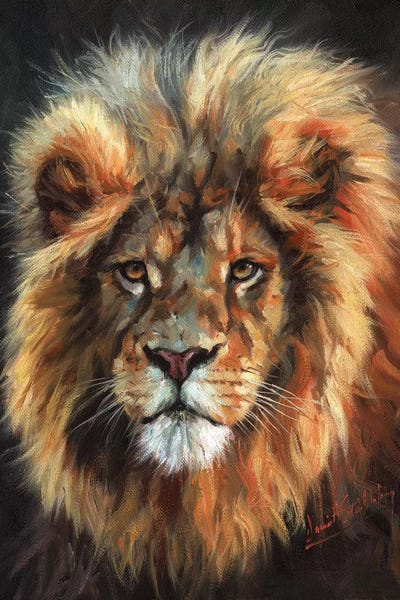 Lions: Portrait of a Lion by David Stribbling
