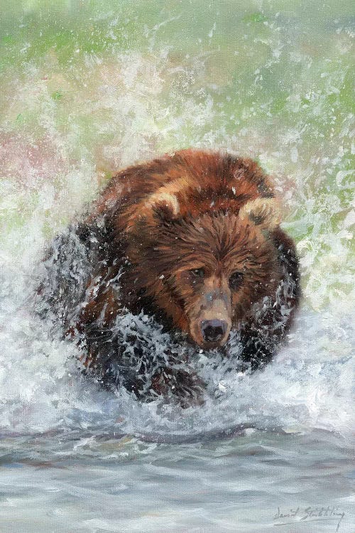 Bear Running Through Water