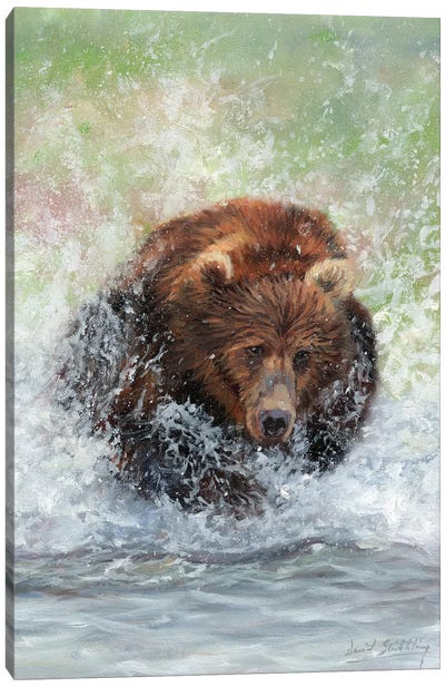 Bear Running Through Water Canvas Art Print - Brown Bear Art