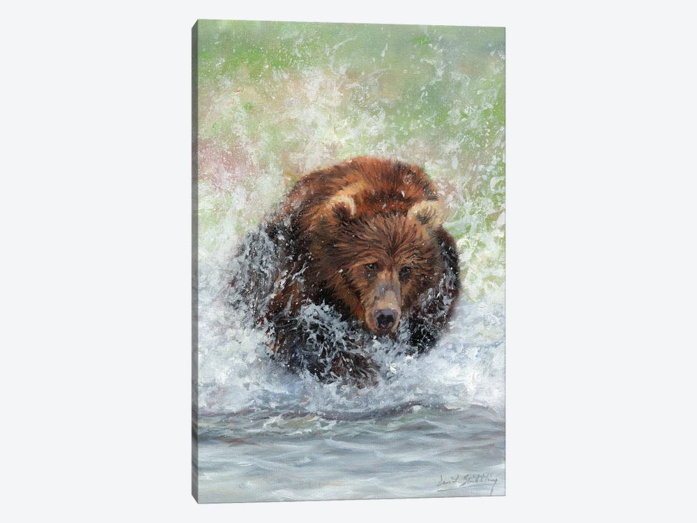 Bear Running Through Water by David Stribbling 1-piece Canvas Wall Art