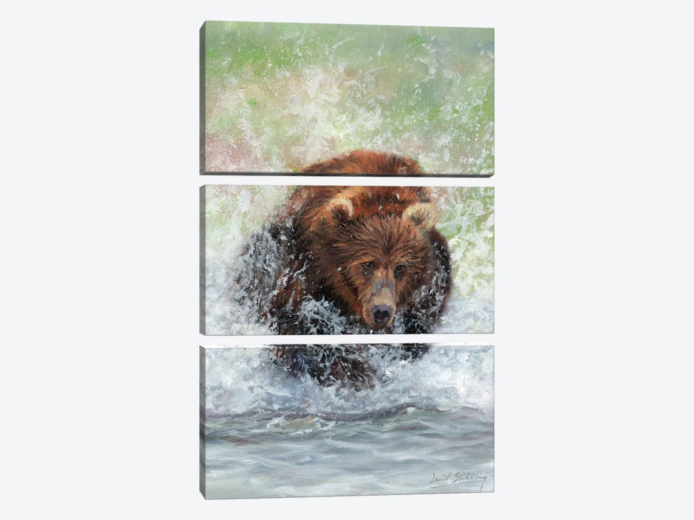 Bear Running Through Water by David Stribbling 3-piece Canvas Art