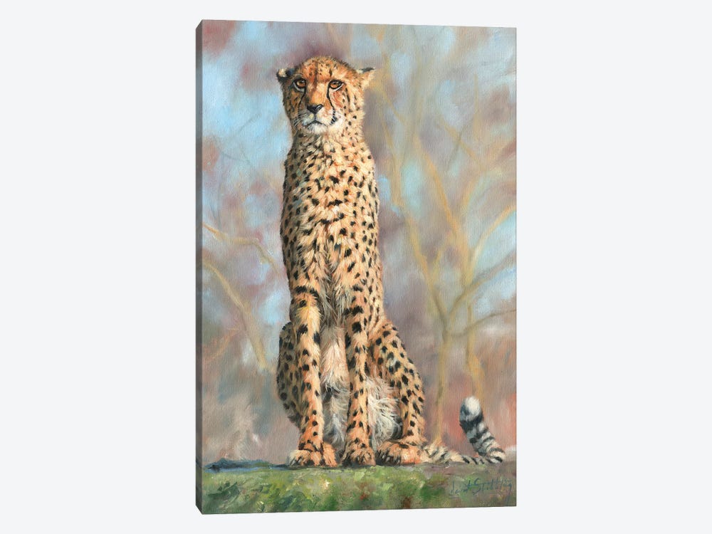 Cheetah I by David Stribbling 1-piece Canvas Art Print