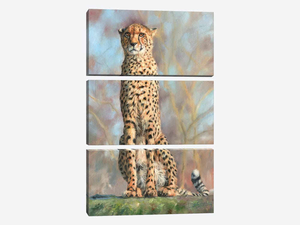 Cheetah I by David Stribbling 3-piece Art Print
