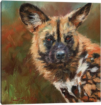African Wild Dog Portrait Canvas Art Print - Wildlife Conservation Art