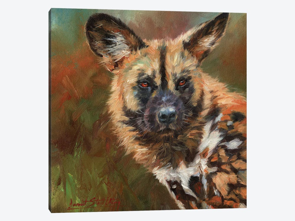 African Wild Dog Portrait by David Stribbling 1-piece Art Print