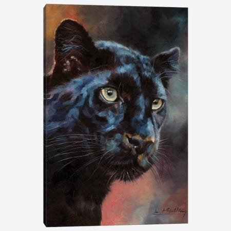 Black Panther I Canvas Print #STG200} by David Stribbling Canvas Print