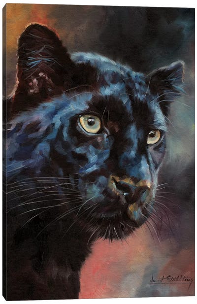 Black Panther I Canvas Art Print - Panthers