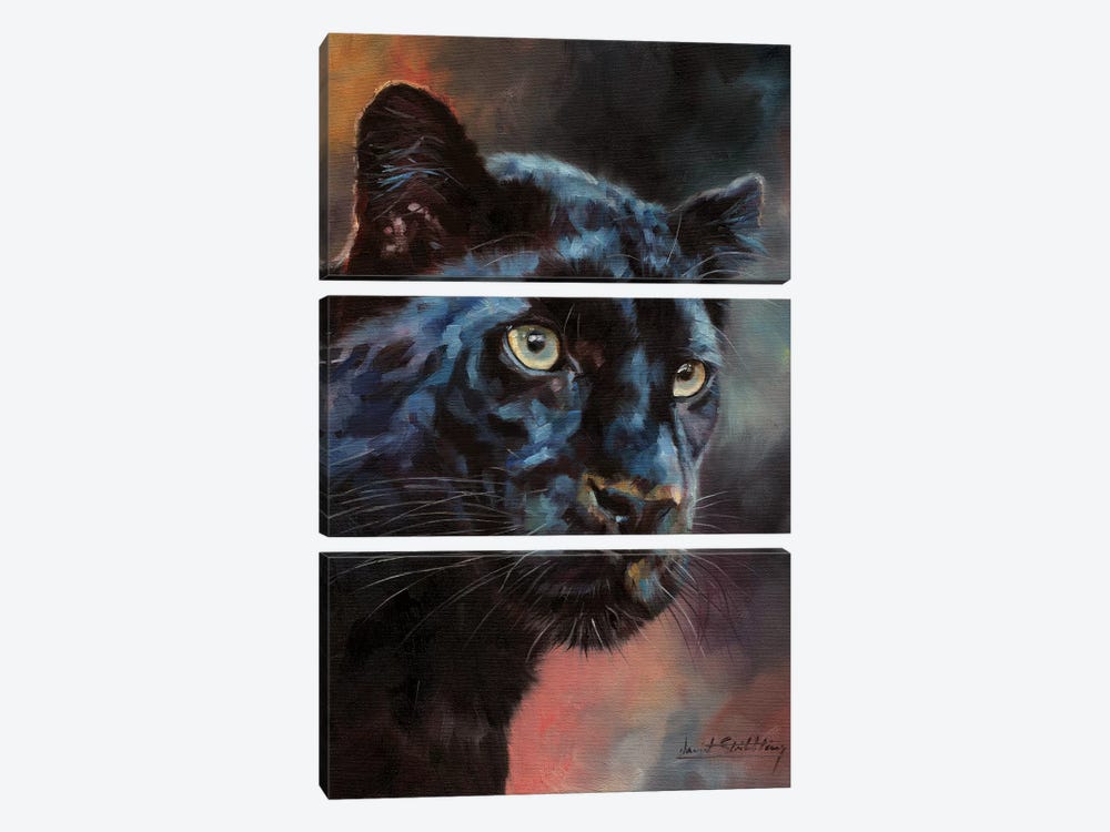 Black Panther I by David Stribbling 3-piece Canvas Artwork