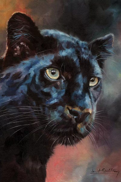 David Stribbling: Black Panther I by David Stribbling