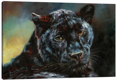 Black Panther II Canvas Art Print - Panthers