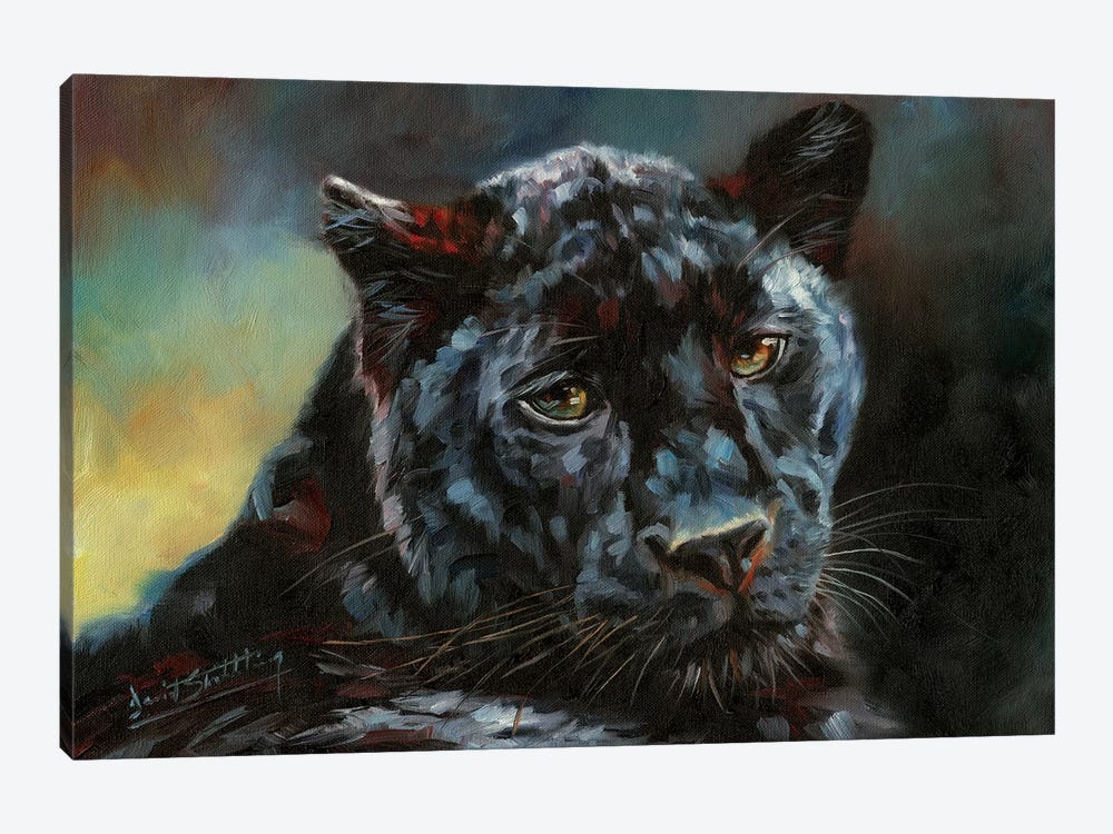 Black Panther II by David Stribbling 1-piece Canvas Print
