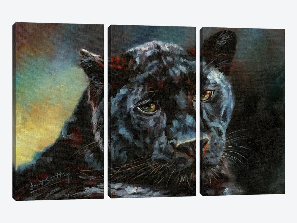 Black Panther II by David Stribbling 3-piece Canvas Print
