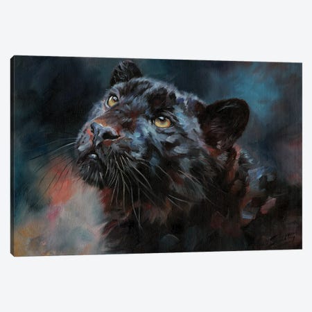 Black Panther III Canvas Print #STG202} by David Stribbling Canvas Art Print