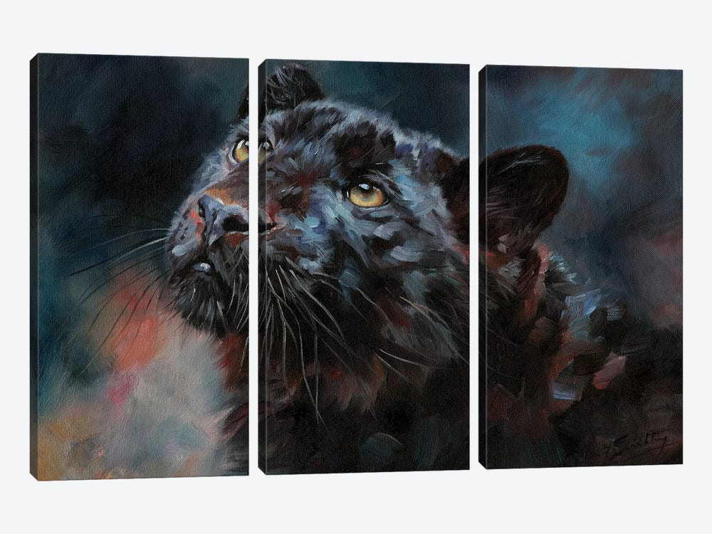 Black Panther III by David Stribbling 3-piece Canvas Art