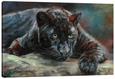 Black Panther IV Canvas Art Print - David Stribbling