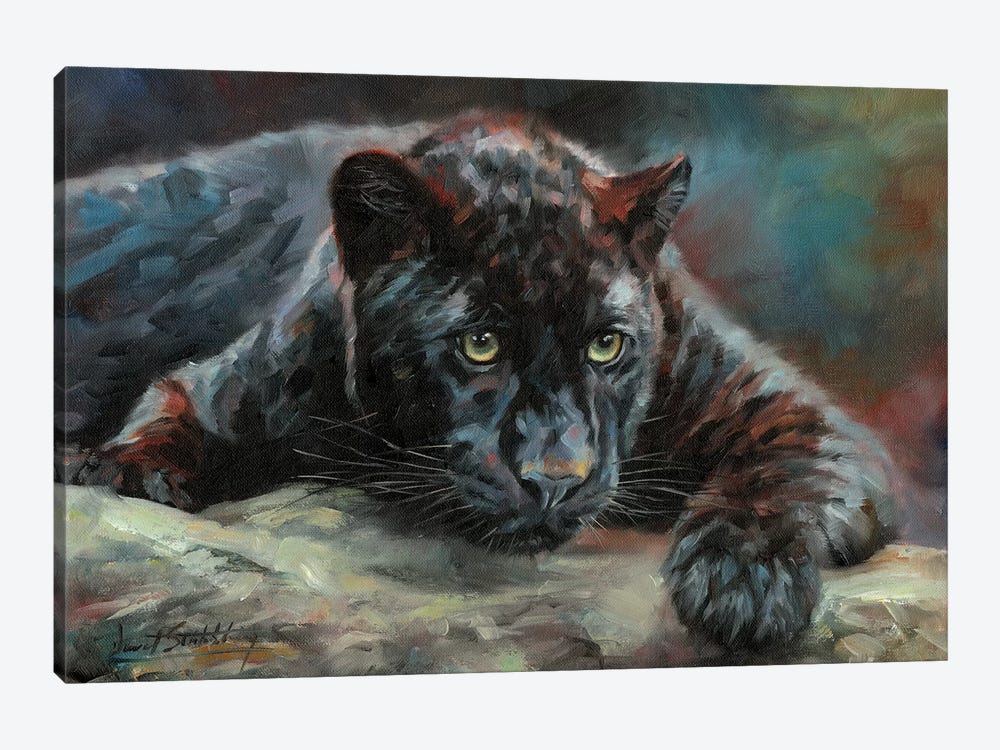 Black Panther IV by David Stribbling 1-piece Canvas Print