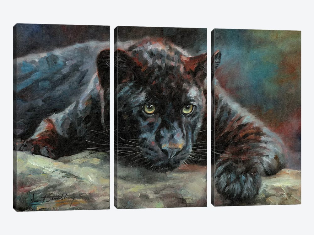 Black Panther IV by David Stribbling 3-piece Canvas Art Print
