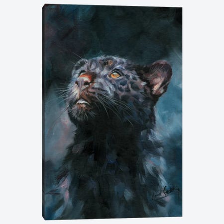 Black Panther V Canvas Print #STG204} by David Stribbling Canvas Art