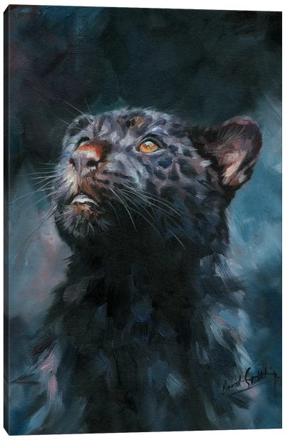 Black Panther V Canvas Art Print - David Stribbling