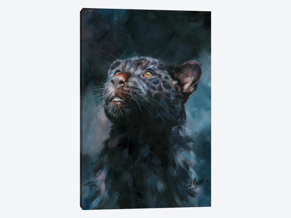Black Panther V by David Stribbling 1-piece Canvas Art