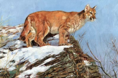 Cougar Snowy Ridge by David Stribbling multi panel art